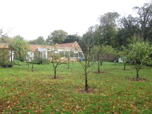 Orchards - click for photo gallery